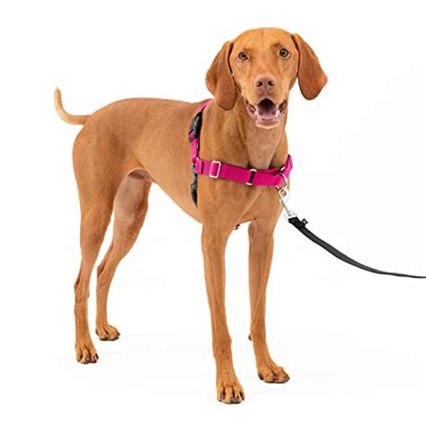 walk with love harness|dog walking harness for humans.